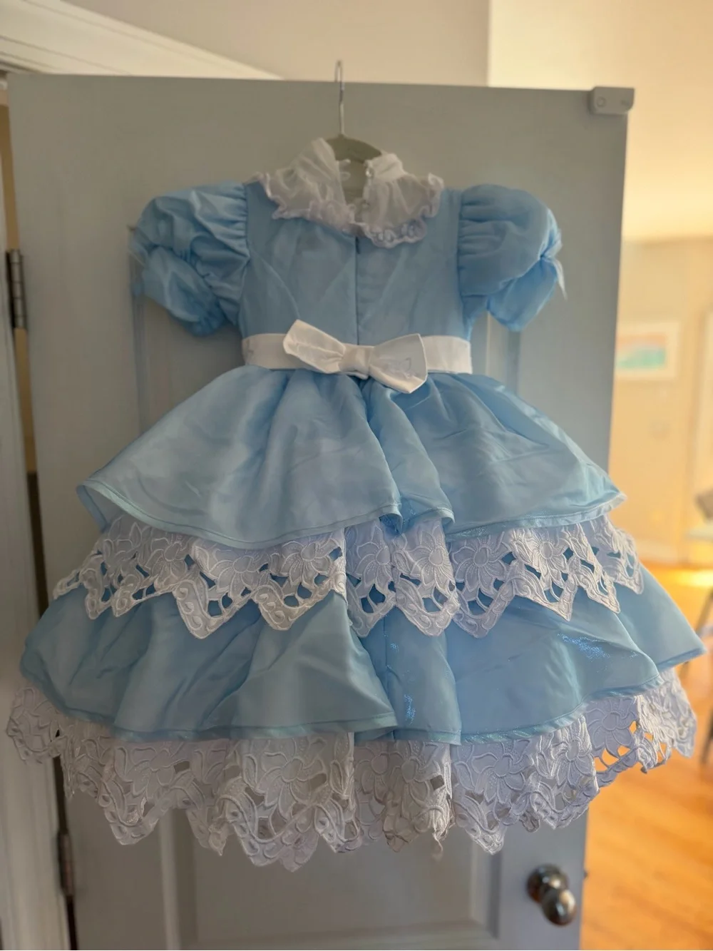 Alice in Wonderland Dress Girl Size 6 Disney Chasing Fireflies $55